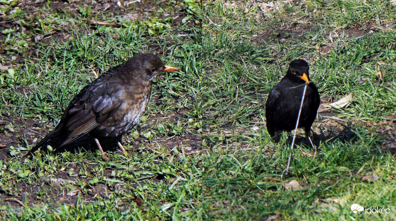 Ugye mi jó barátok vagyunk?