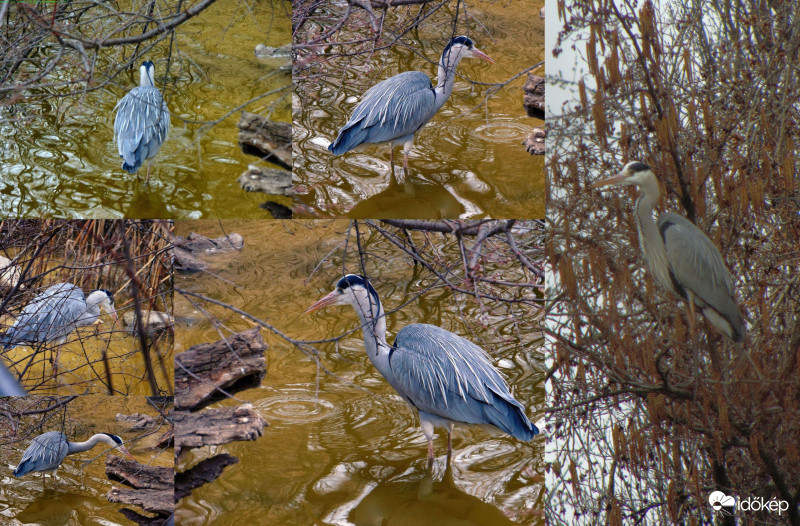 A szerencse forgandó.