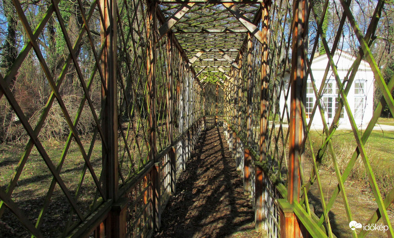 Pergola