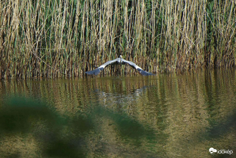 Amikor még sütött a Nap..2