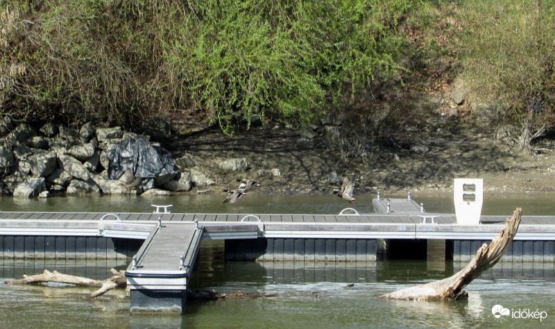 Az Öböl legújabb szörnye..