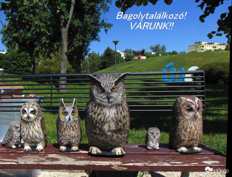 Felhívás!