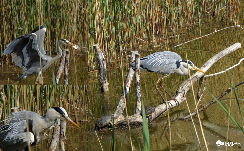 Balszerencsés nap..