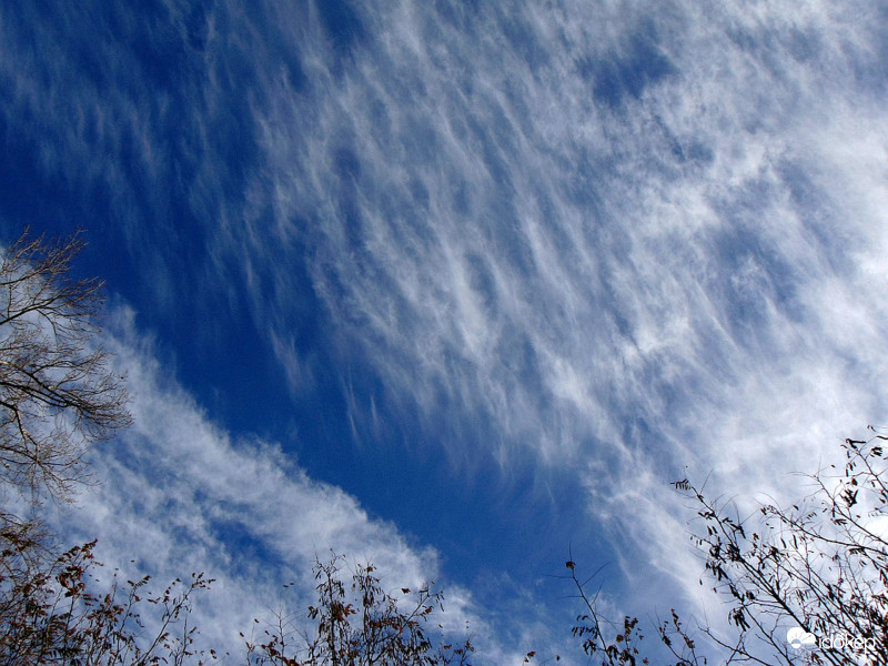 Budapest XI.kerület