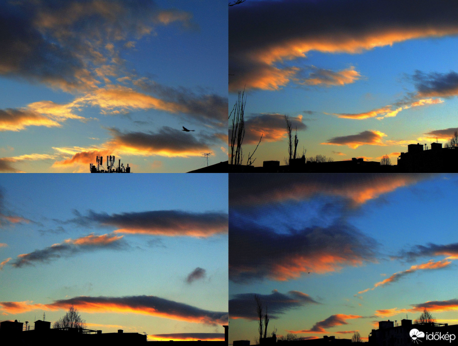 Budapest XI. kerület