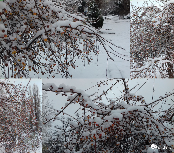 Idei első hó..
