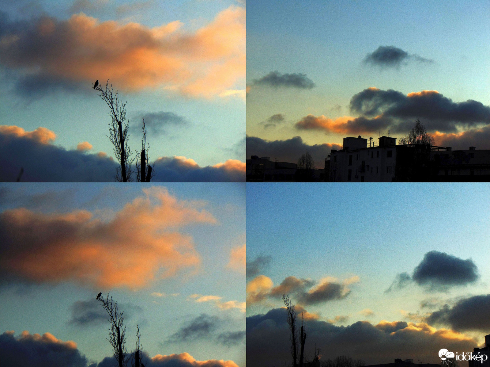 Budapest XI. kerület