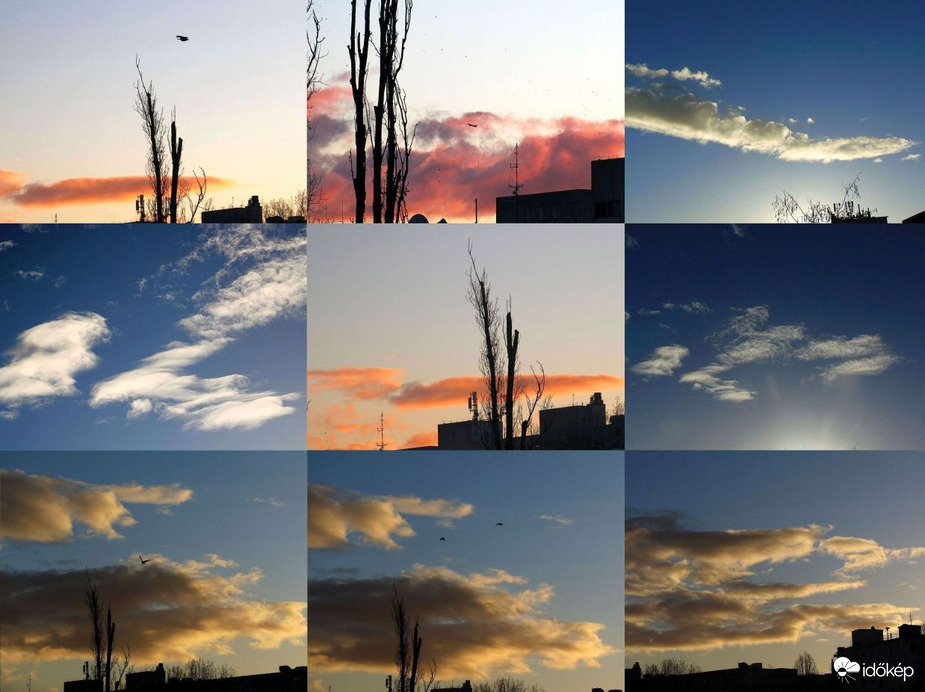 Budapest XI. kerület