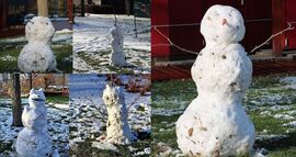 Hóember szépségverseny