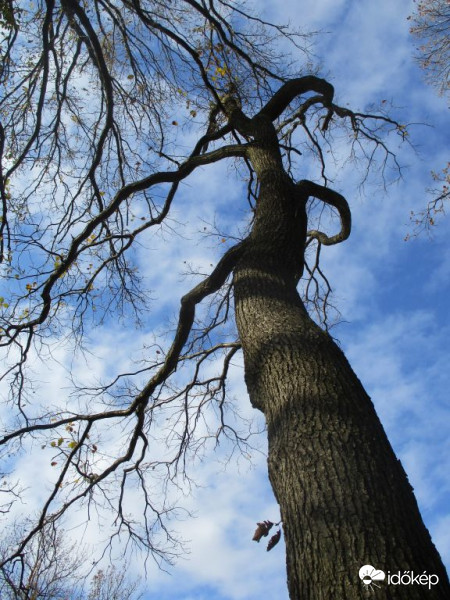 Csípőre tett kezű...