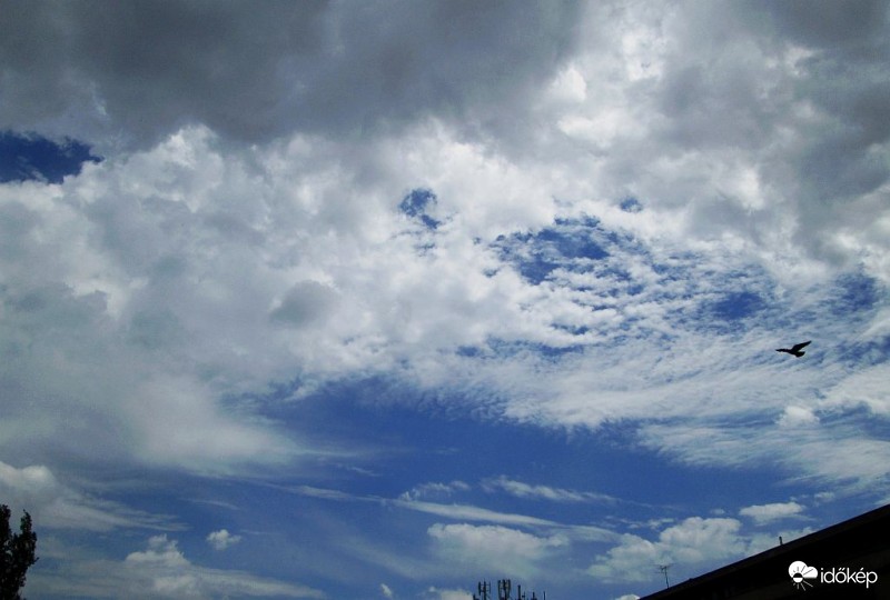 Budapest XI.kerület