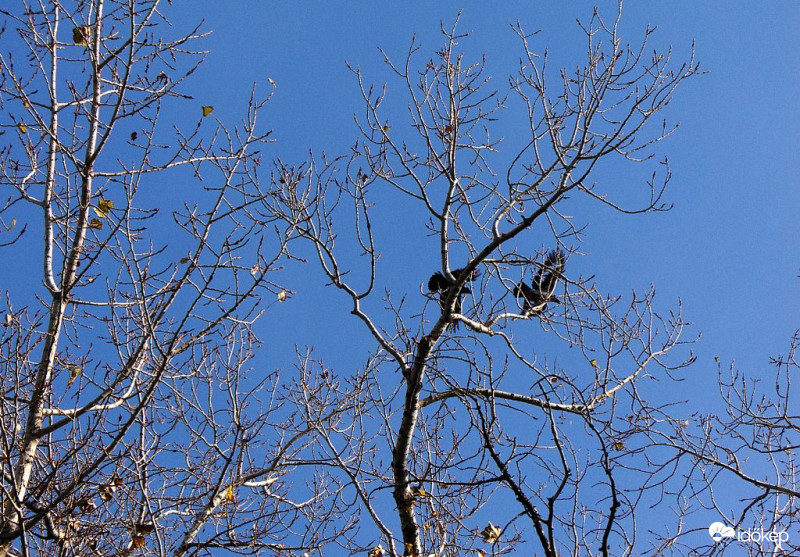 Budapest XI.kerület