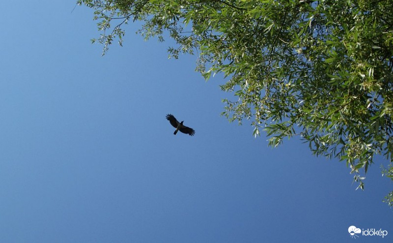 Budapest XI.kerület