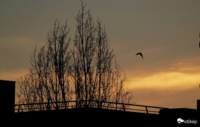 Budapest XI.kerület