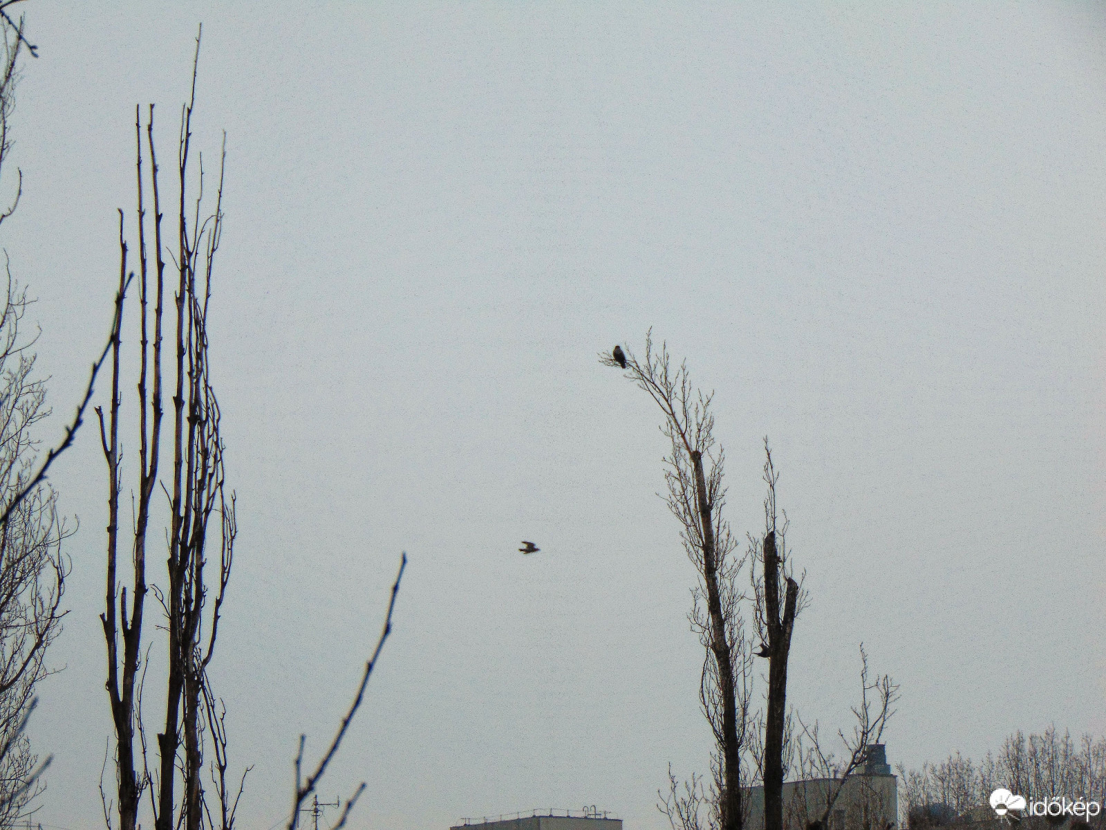 Budapest XI. kerület