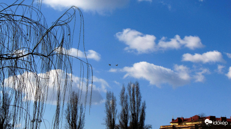 Budapest XI. kerület