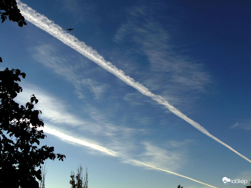 Budapest XI. kerület