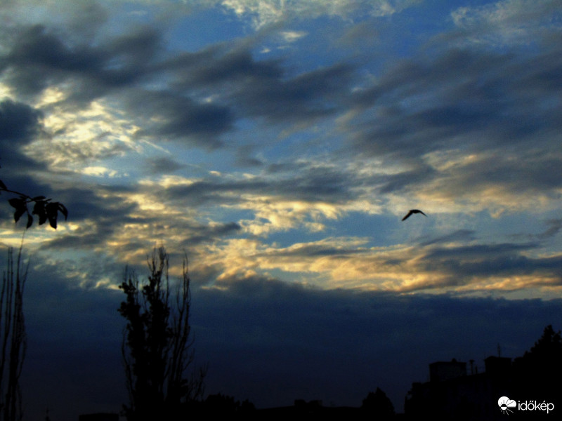 Budapest XI. kerület