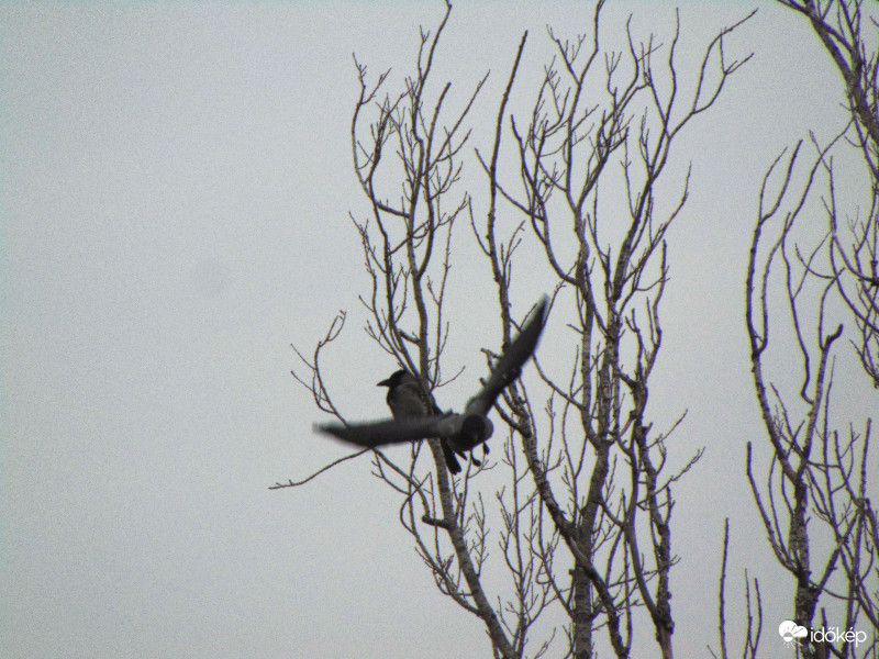 Budapest XI.kerület