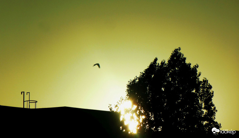 Budapest XI. kerület