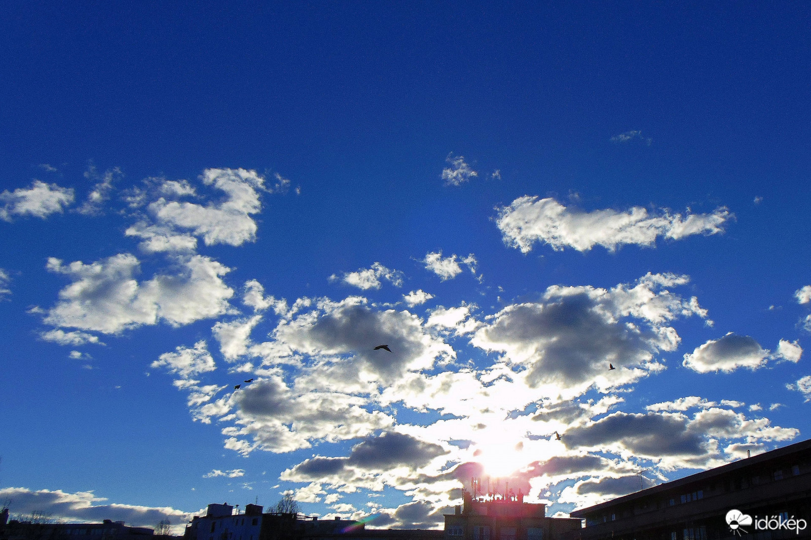 Budapest XI. kerület