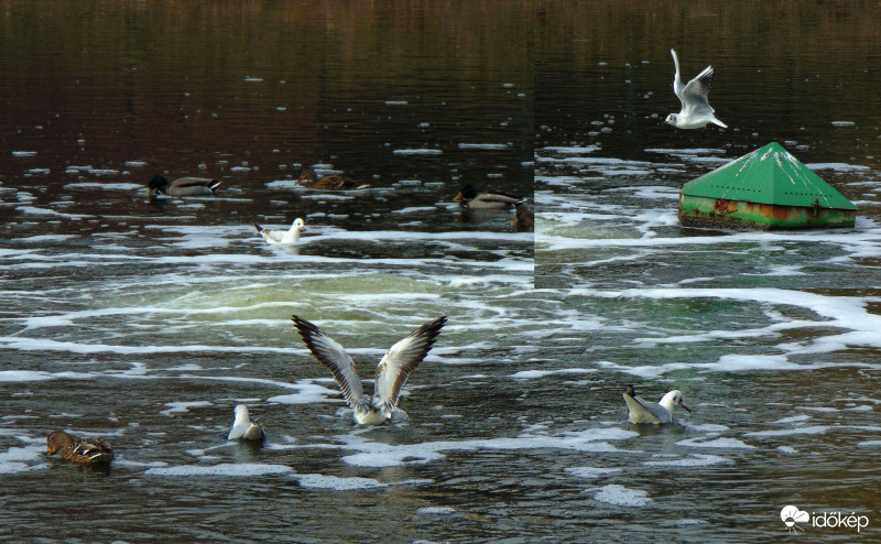 Valami itt nincsen rendjén