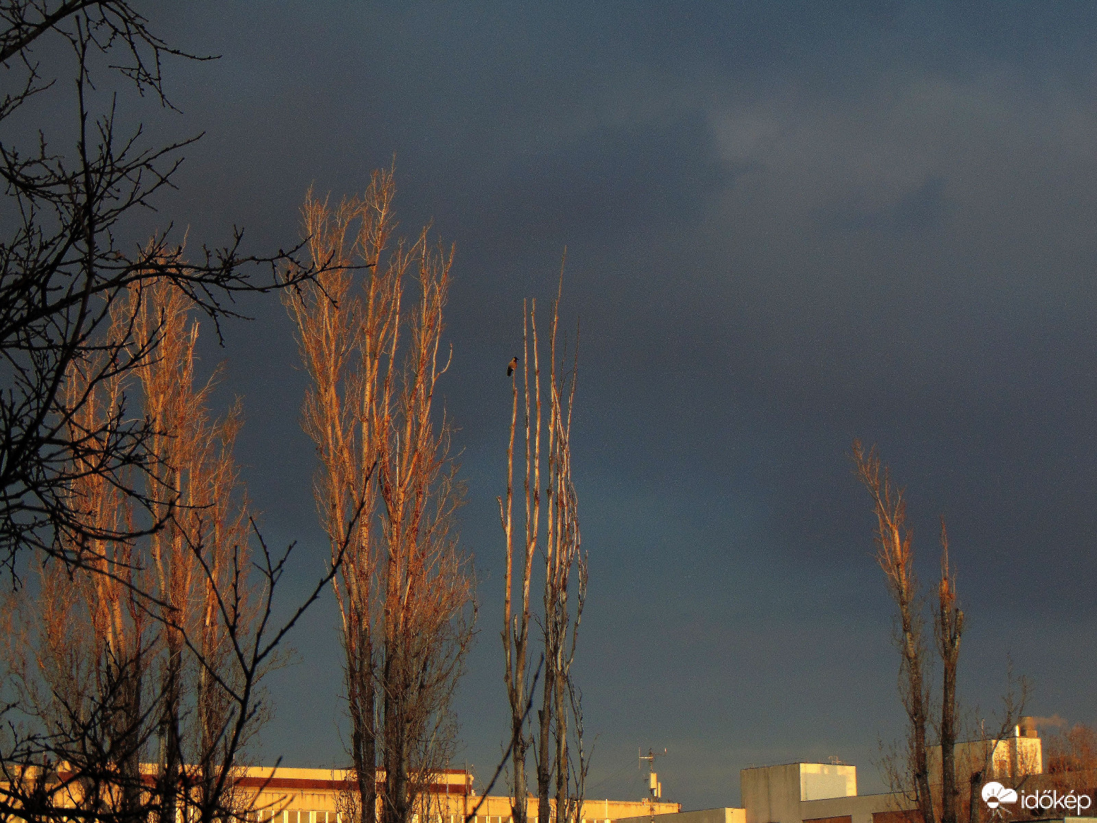Budapest XI. kerület