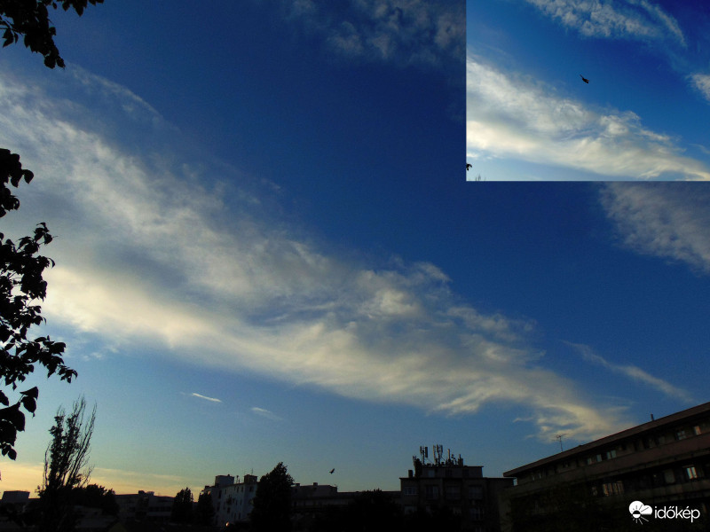 Budapest XI. kerület