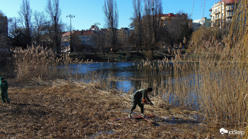 Tavaszi készülődés