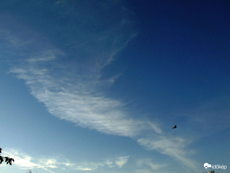 Budapest XI. kerület