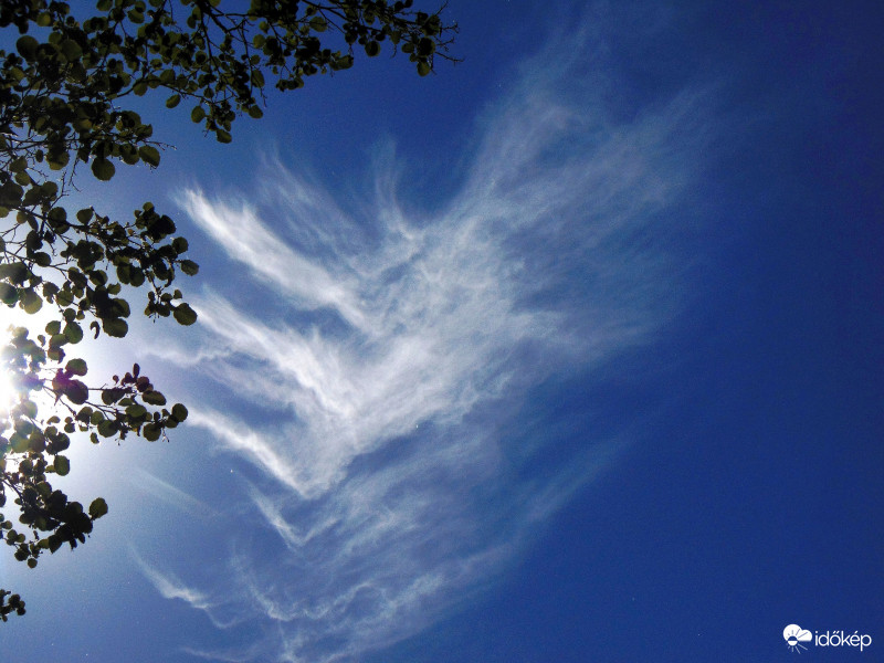 Budapest XI. kerület