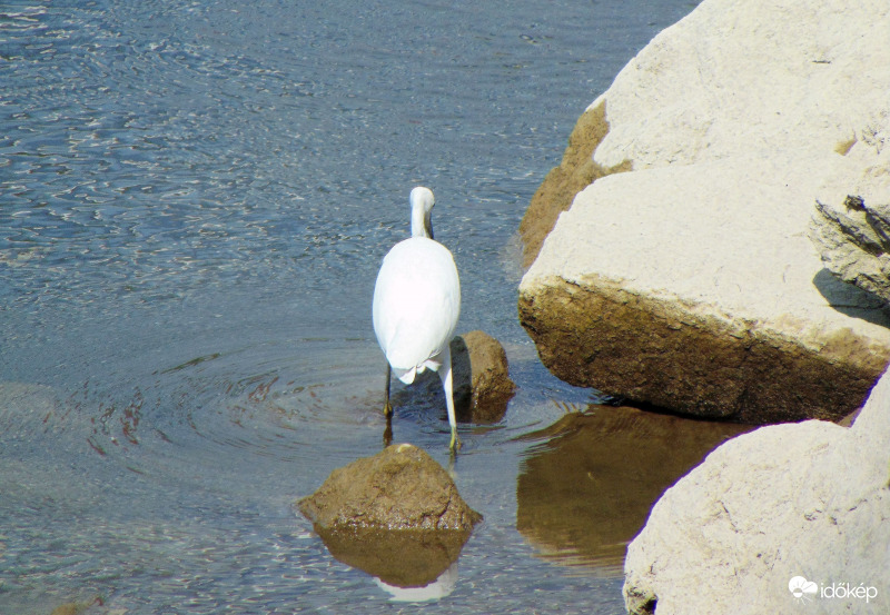 Ami a tegnapi "gémes"-ből kimaradt