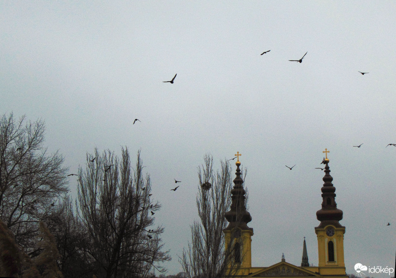 Budapest XI. kerület