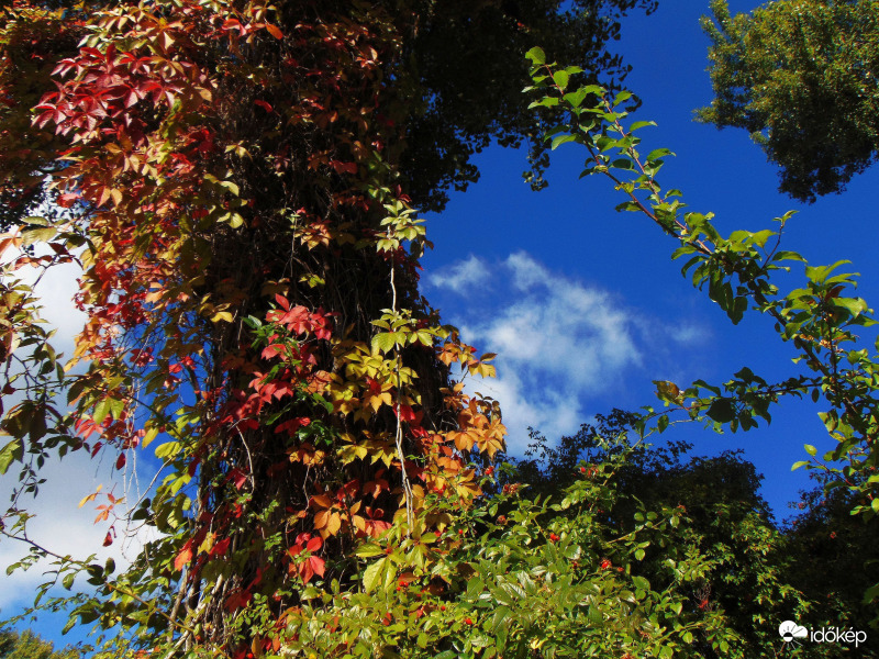 Kíváncsi gomolyfelhő