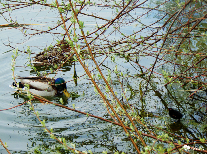Minden nézőpont kérdése