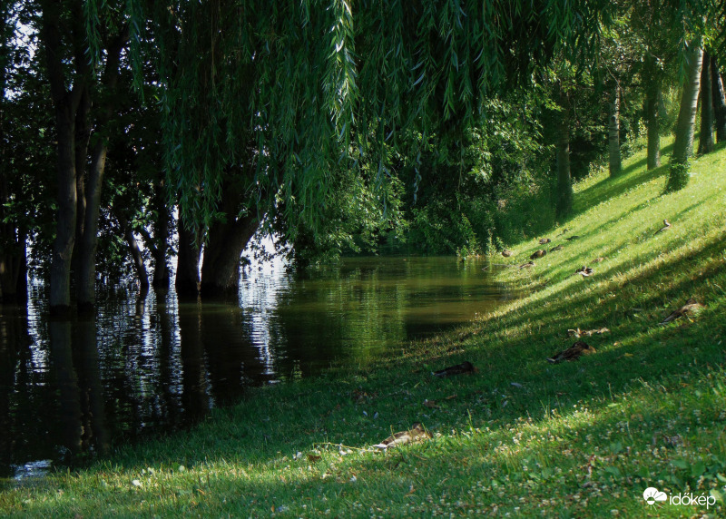 Szieszta