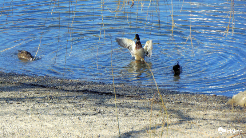 Új év(ad)szak kezdetén