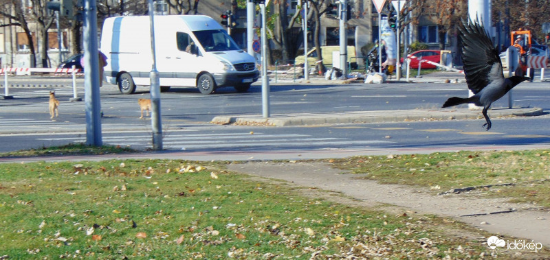 Kereszterődésben