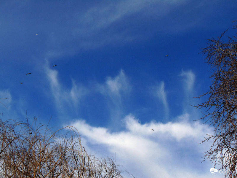 Budapest XI. kerület