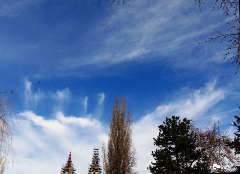 Budapest XI. kerület