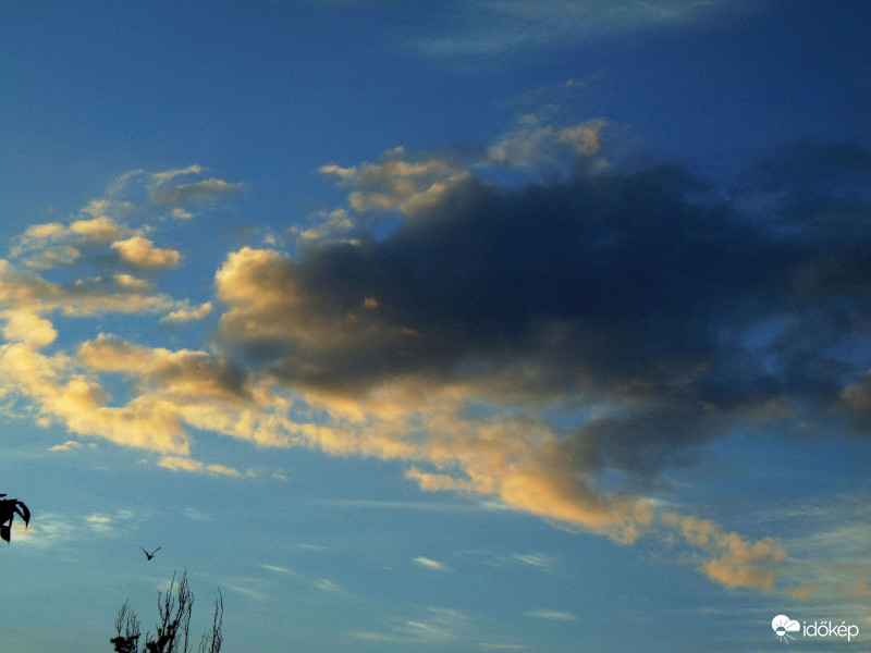 Budapest XI. kerület