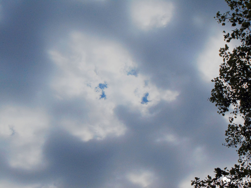 Budapest XI.kerület