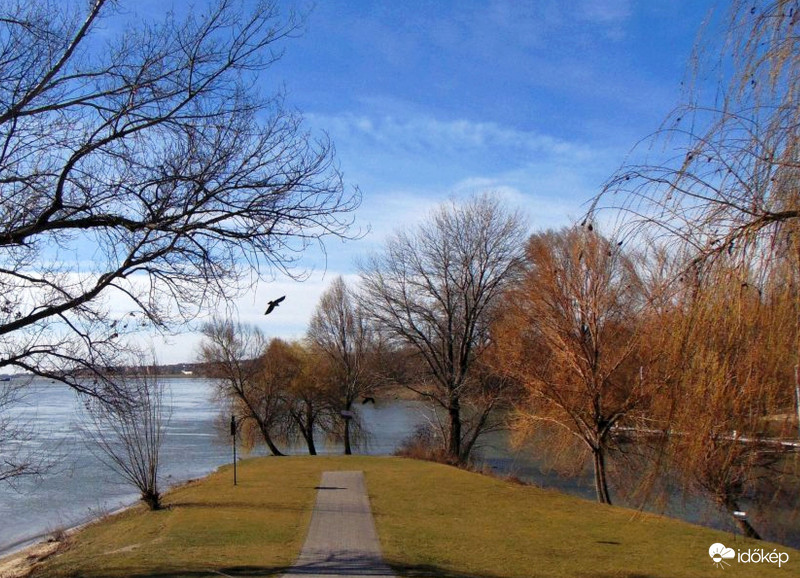 Márciusi délelőtt..