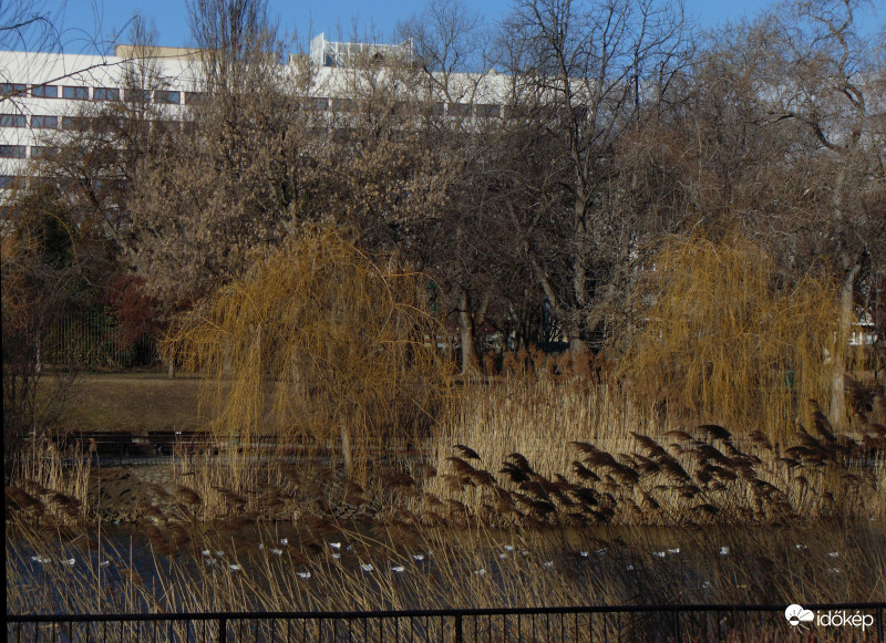 Budapest XI.kerület