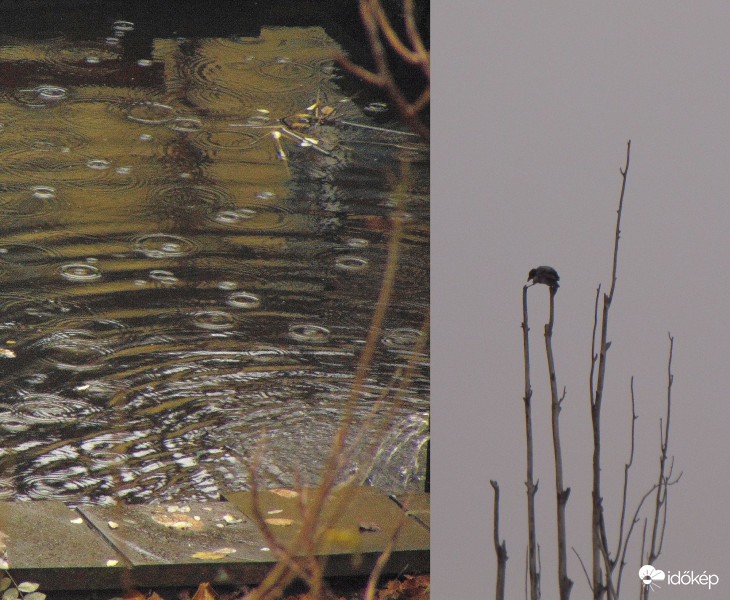 Budapest XI.kerület