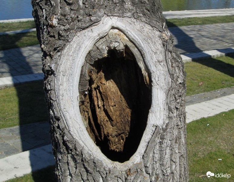 Térplasztika - Férfi fej