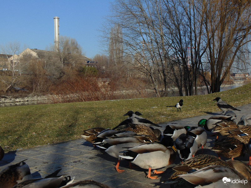Szép  időben hó nélkül..