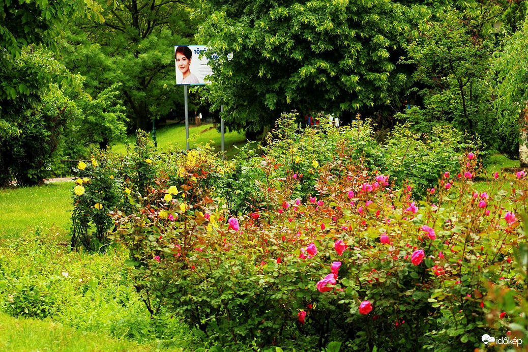 Törőcsik Mari Park