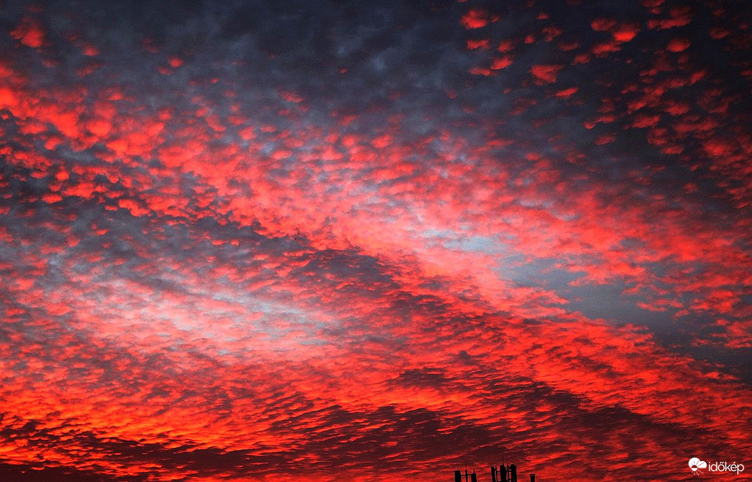 Budapest XI. kerület