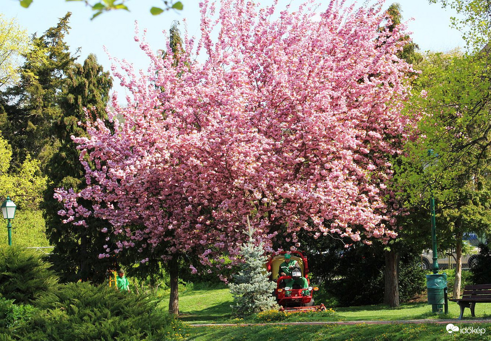 Szépül a park